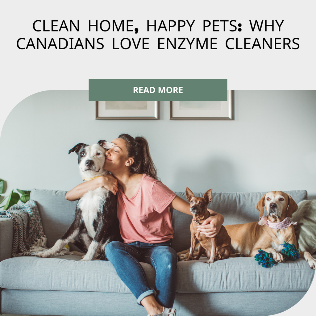 Clean Home, Happy Pets: Why Canadian Pet Owners Trust Enzyme-Based Cleaners