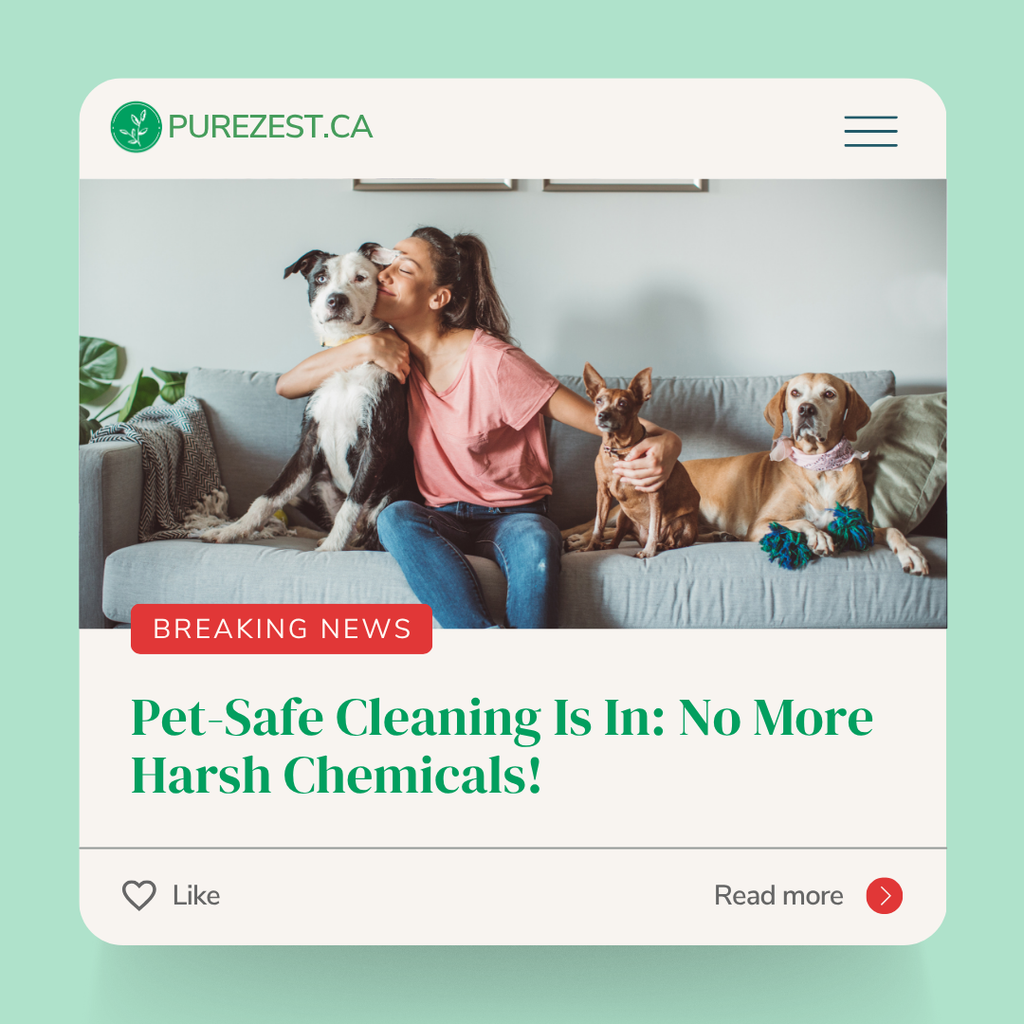 Say Goodbye to Harsh Chemicals: The Rise of Pet-Friendly Cleaning Solutions in Canad