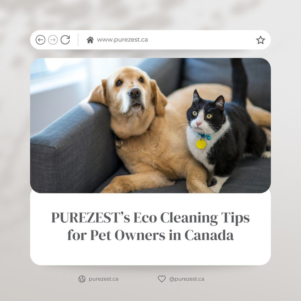 PUREZEST’s Eco Cleaning Tips for Pet Owners in Canada