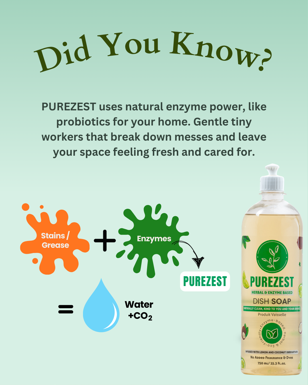 PUREZEST Enzyme Dish Soap – Natural, Eco-Friendly, Tough on Grease & Keeps Drains Fresh (750ml)