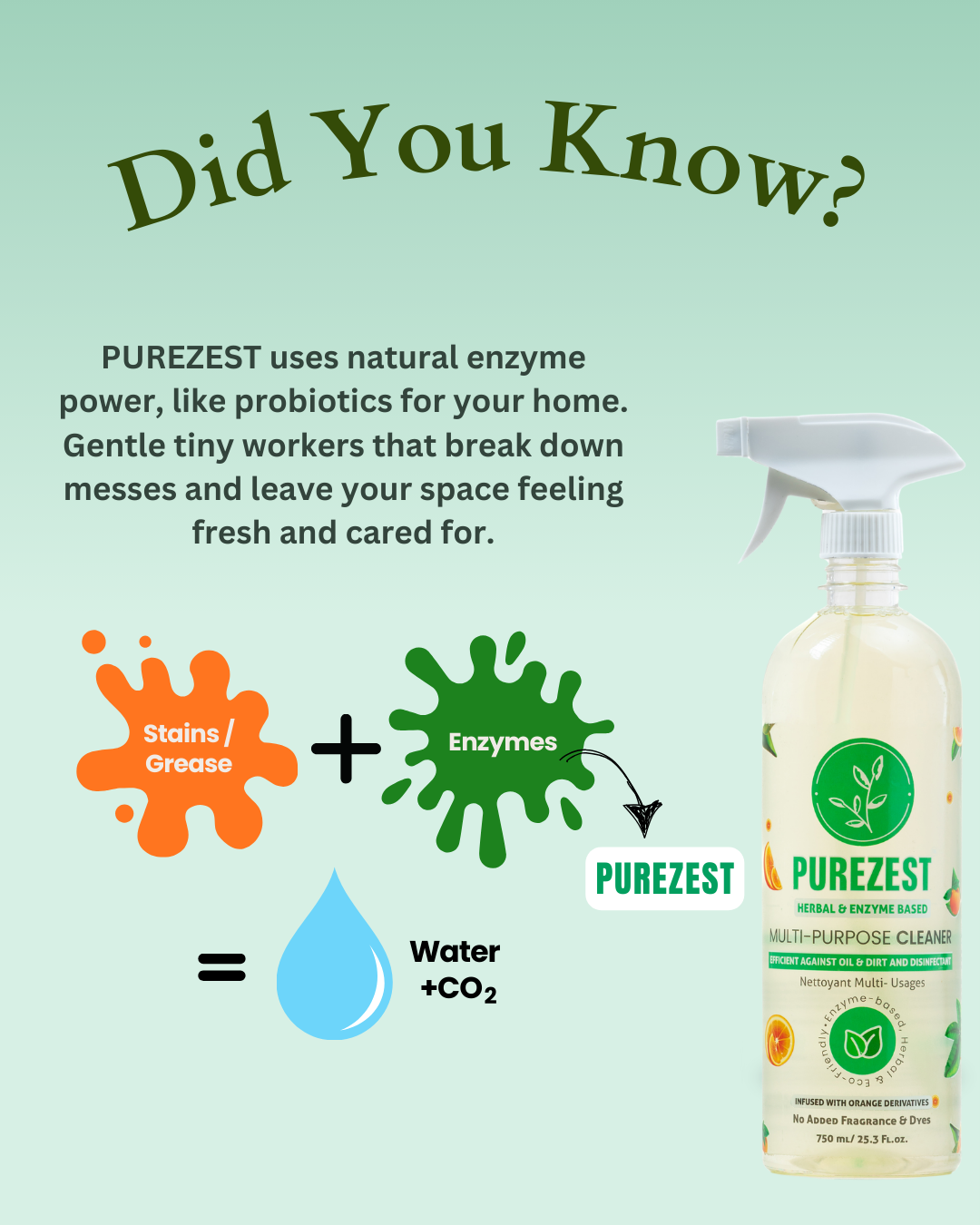 PUREZEST Multi-Purpose Cleaner – Enzyme-Based, Natural, Long-Lasting Protection up to 48 Hours (750ml)